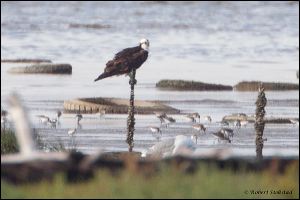 11_20111015_rgs_4447