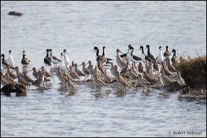 12_20111015_rgs_4457