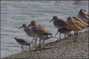 28_20111015_rgs_4525