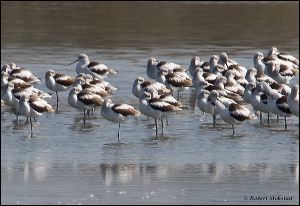 30_20111015_rgs_4537
