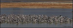 32_20111015_rgs_4541
