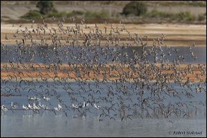 33_20111015_rgs_4543