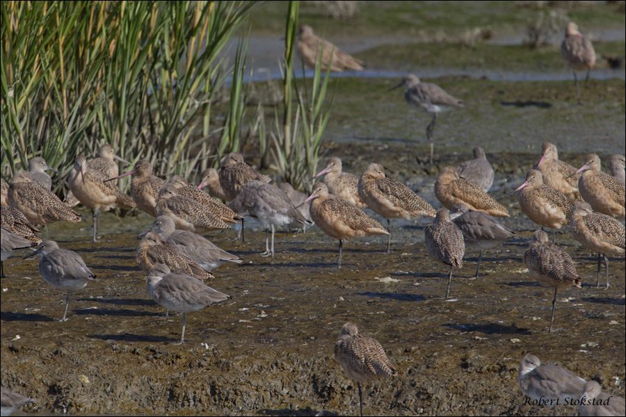 24_20111015_rgs_4508.jpg