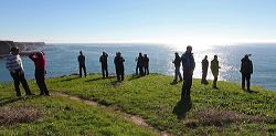 img_9447a