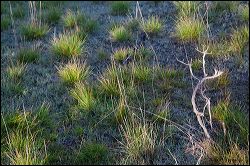 11_20120107_rgs_5022