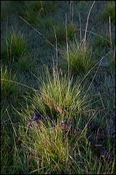 12_20120107_rgs_5021
