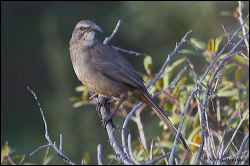 15_20120107_rgs_7113