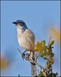 25_20120107_rgs_7140