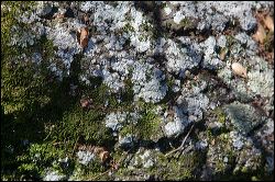 28_20120107_rgs_5057