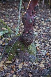 33_20120107_rgs_5063