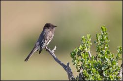 42_20120107_rgs_7194