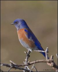 50_20120107_rgs_7244
