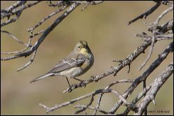 53_20120107_rgs_7246