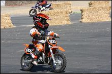 img_1069
