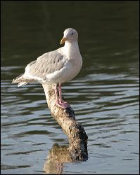 img_0253a