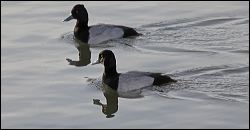 img_0254a