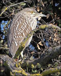 img_0261a