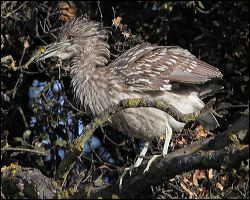 img_0263a