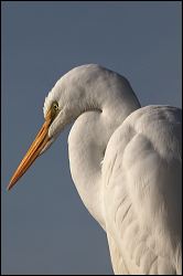 img_0264a