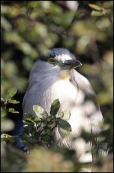 img_0269z