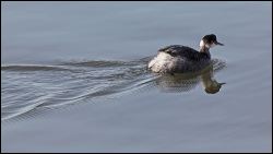 img_0275a