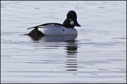 img_0277a