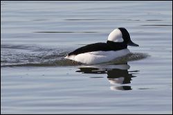 img_0282a