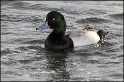 img_0286a