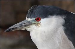 img_0292a