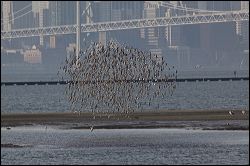 img_0323a