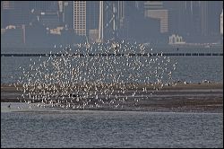 img_0326a