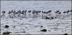img_0334a