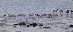 img_0335a