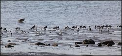 img_0337a
