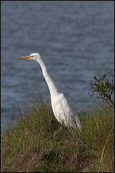 img_0344a