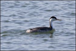 img_0353a