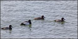 img_0357a