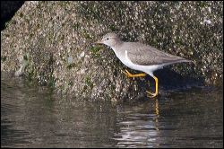 img_0369a