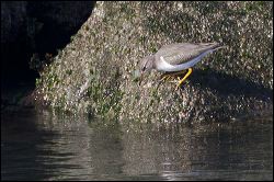 img_0370a