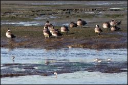 img_0374a