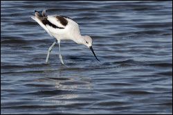 img_0375a