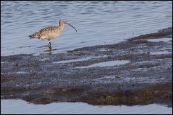 img_0379a
