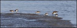 img_0387a