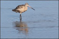 img_0389a