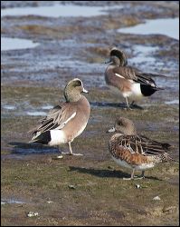 img_0392a
