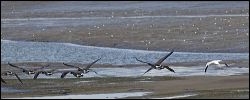 img_0398a