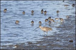 img_0402a