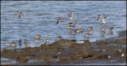 img_0410a