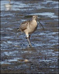img_0411a