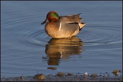 01_20120226_jrs_0761